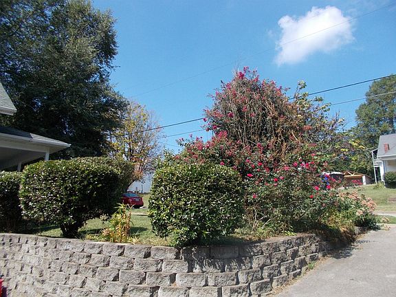 5th image of 406 Holt Ave