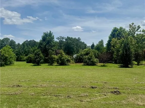 50414 Lester Ln, Loranger, LA 70446