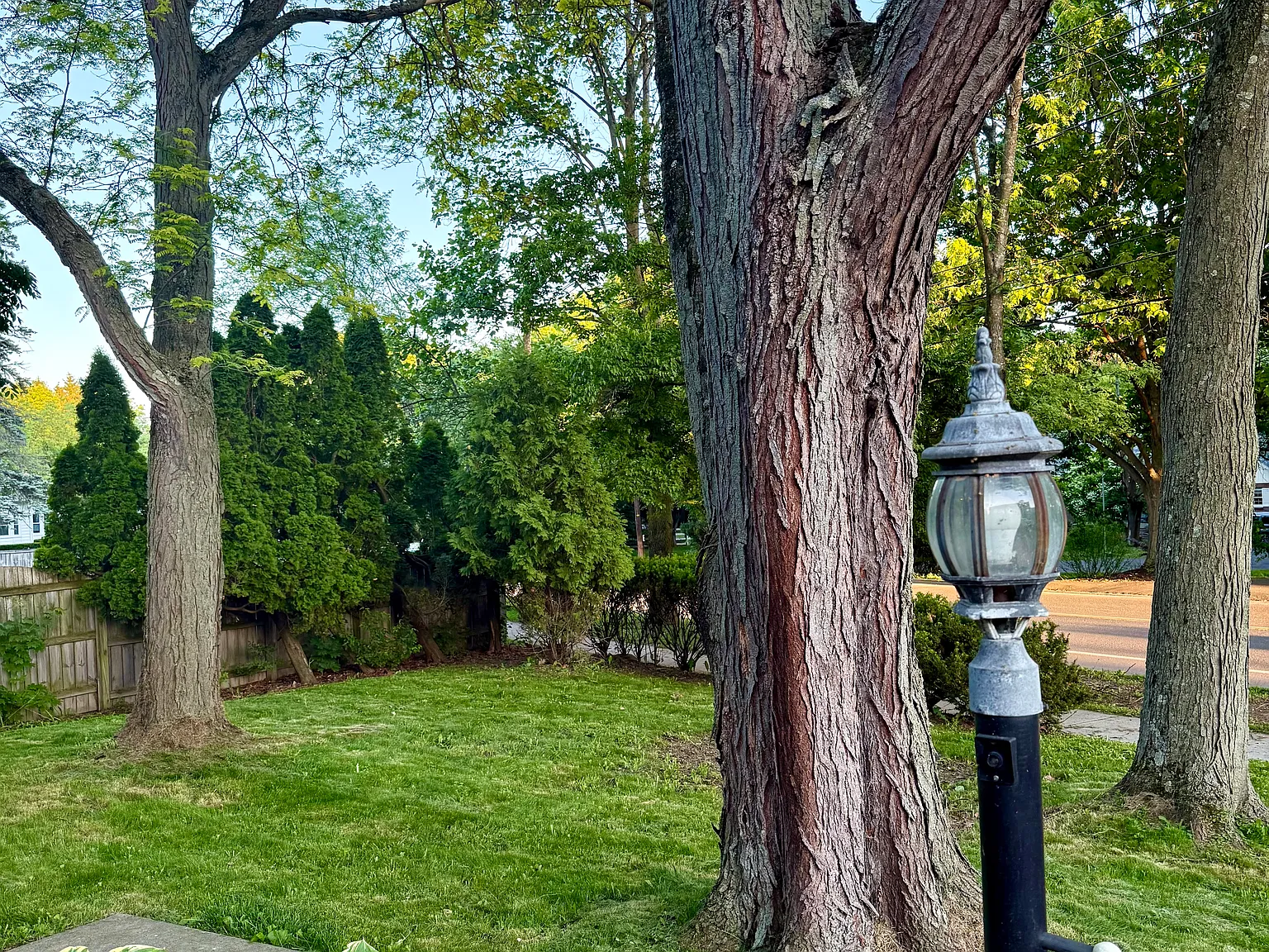 3 bed, 1540 sqft, $2,500 — Photo 3