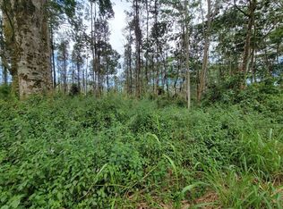 Pahoa Rd LOT 650, Pahoa, HI 96778