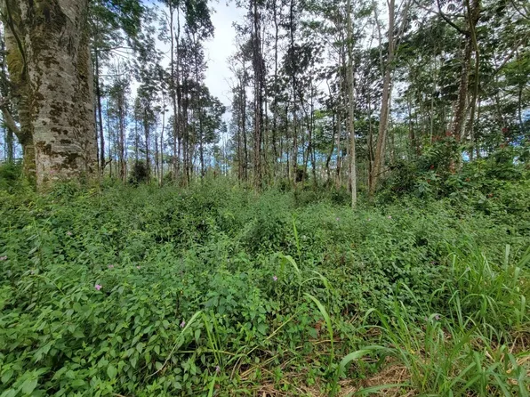 Pahoa Rd Lot 649, Pahoa, HI 96778