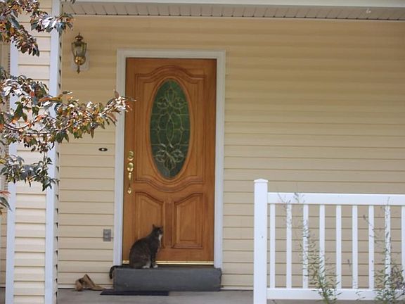 5th image of 1521 N Candellaria Dr