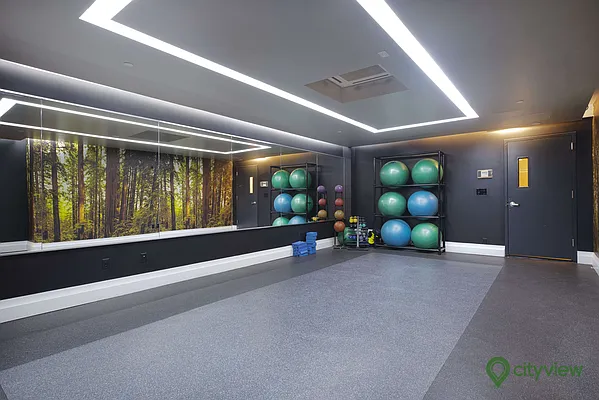 Rented by City View Living | media 58