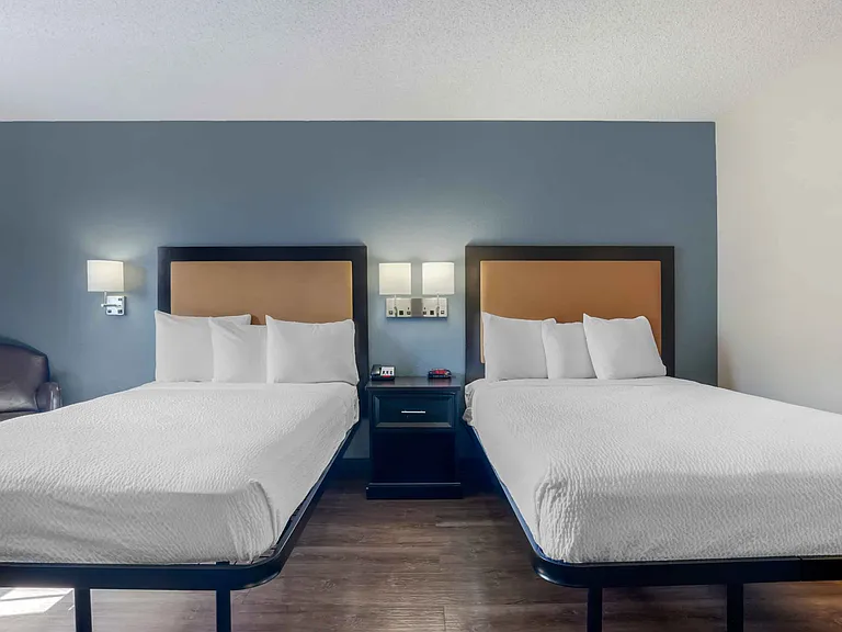 Studio Suite - 2 Full Beds