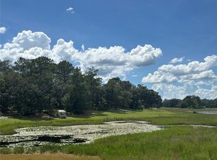 0 SE 180th Ave, Ocklawaha, FL 32179