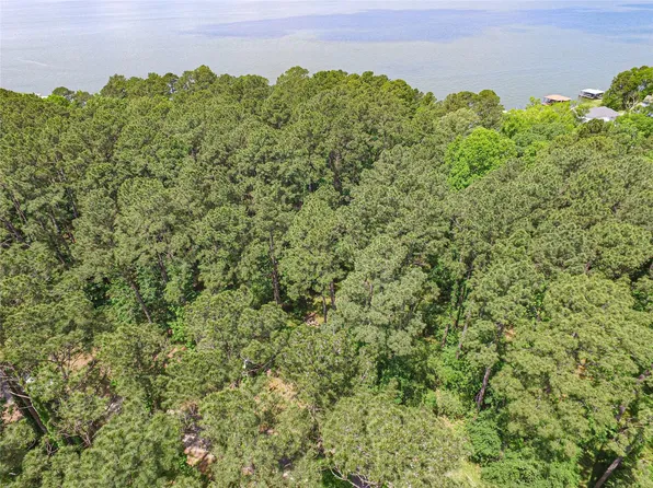 Grand Pnes W, Livingston, TX 77351