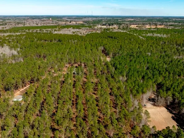 1401 Messex Rd, Millen, GA 30442