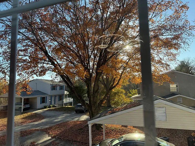 9250 Pigeonwing Pl — Photo 33