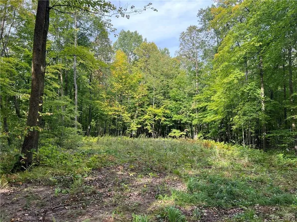 Stowe Rd, Birchwood, WI 54817