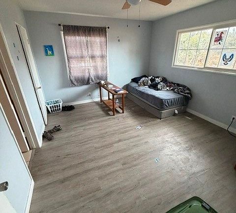 5th image of 1022 Rodman Ave