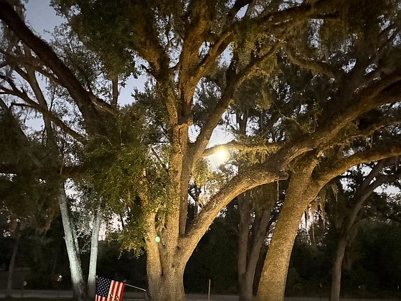 4th image of 3639 Joel Aman Rd