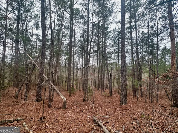 0 Rock Quarry Rd, Yatesville, GA 31097