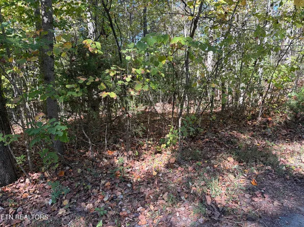222 Jade Ln, New Tazewell, TN 37825