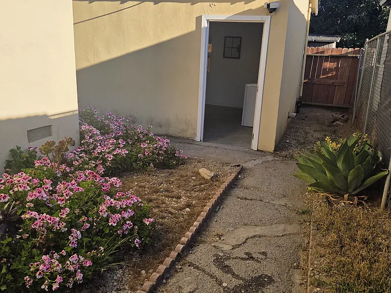 Backyard to shed
