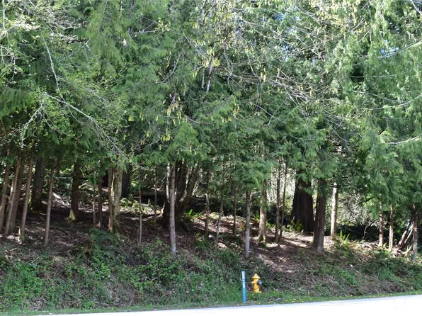 0 Rainbow Drive #NHN, Glenhaven, WA 98284
