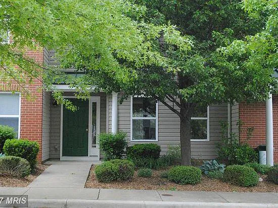 Quiet tree-lined street.