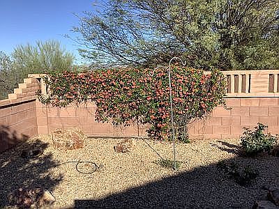 Rear of lot, NE corner