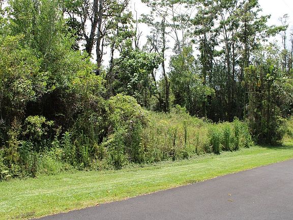 2nd image of 15-2778 Au St Lot 209