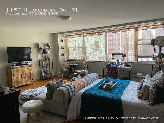 5th image of 1150 N Lakeshore Dr #9L