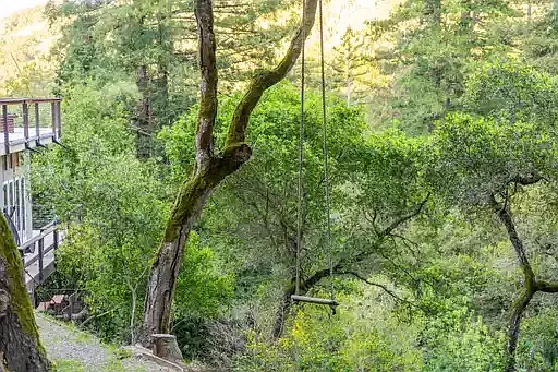 Forest swings