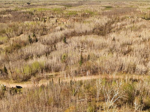 5th image of 80729 Tamarack Ranch Rd