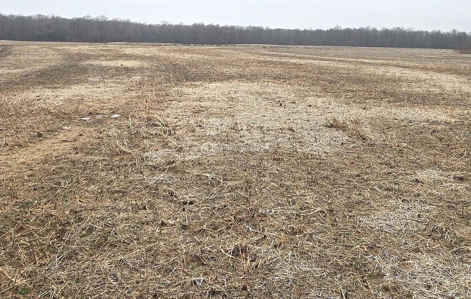 2nd image of Winding Creek Rd