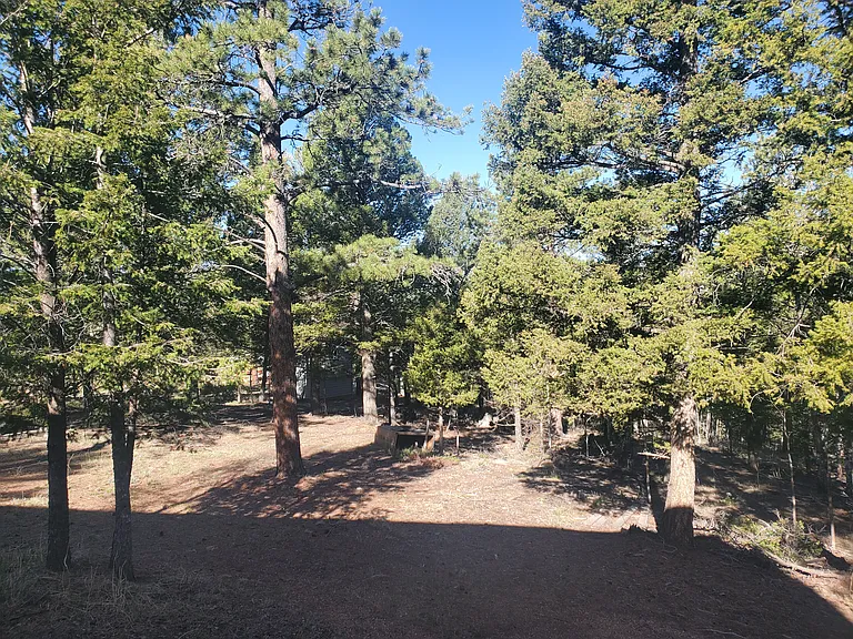 View from your private deck and rear windows.