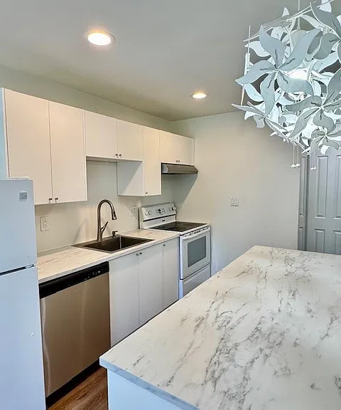 1036 Oak Grove Rd #63 — Photo 3