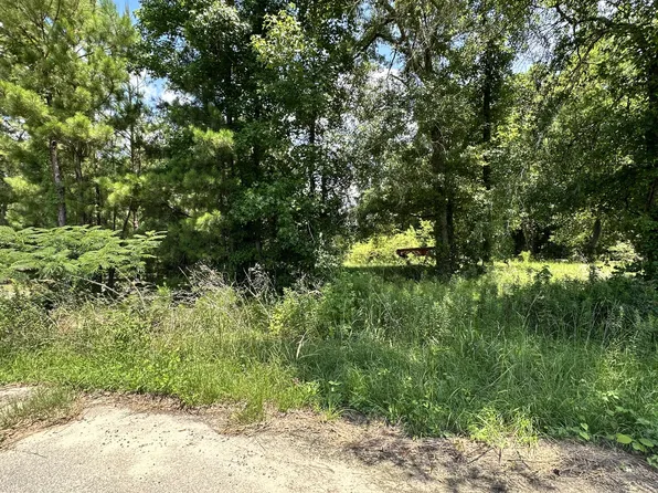 430 Trussel Rd, Andrews, SC 29510