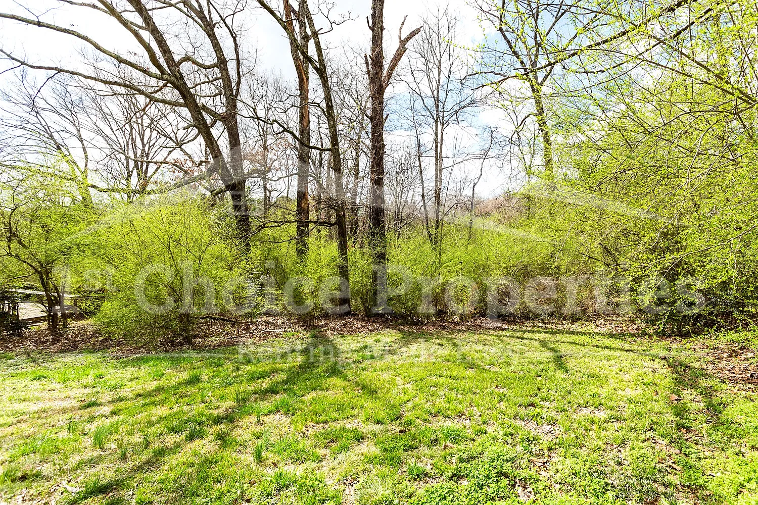 1356 5th Place NW, Center Point, AL - 1 — Photo 3