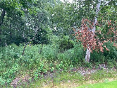 0 orchard Lane, Hope, ME, 04847