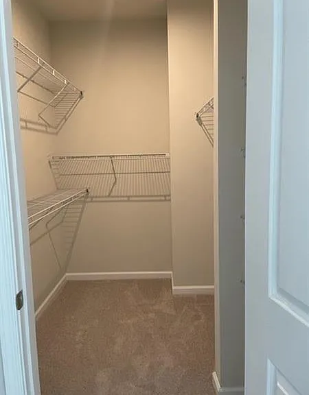 104 Lupine Dr — Photo 10