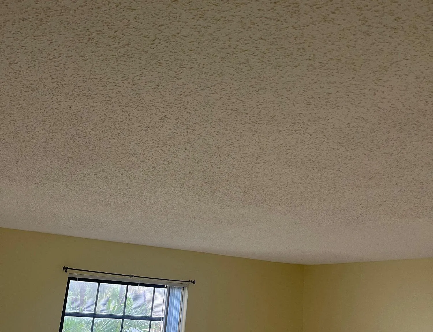 1 bed, 1.5 bath, 833 sqft, $1,400 — Photo 4