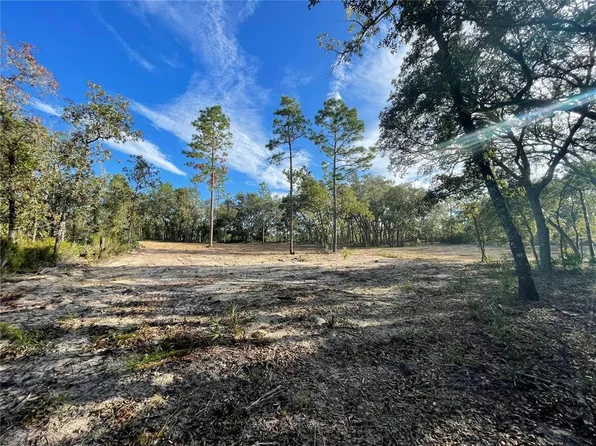 0 NE 90th St, Bronson, FL 32621