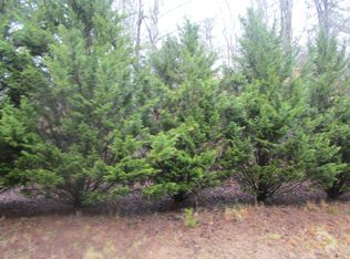 Jones Cove Rd, Cosby, TN 37722