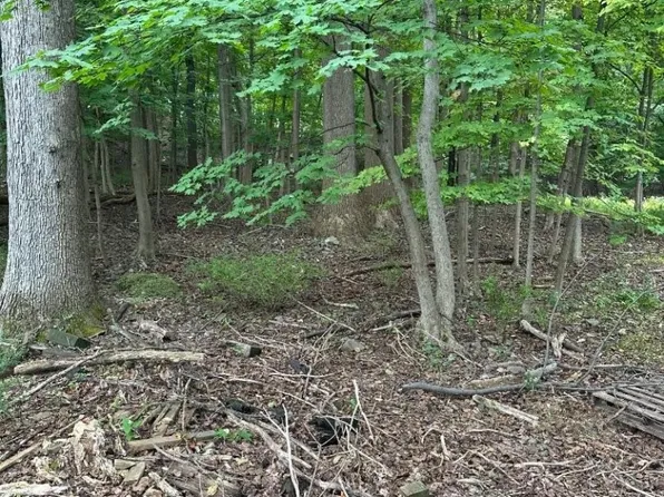 86 Chestnut St, Morristown Town, NJ 07960