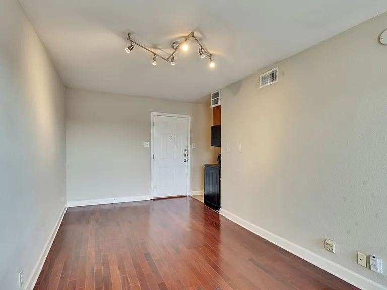 2020 S Congress Ave #1316 — Photo 12