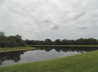 2826 Conch Hollow Dr, Brandon, FL 33511