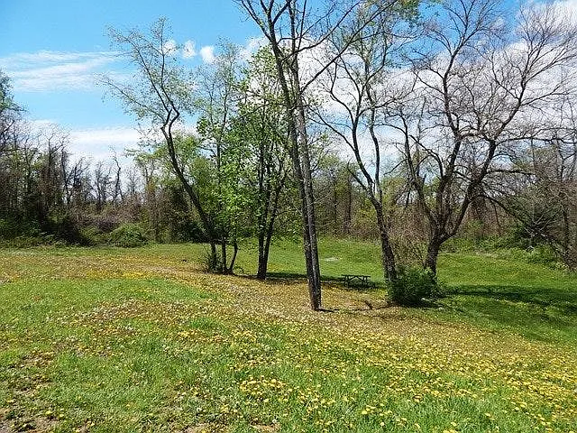 The townhomes surrounded by lots of wooded acres for additional tenants privacy. Accommodating to dogs for excerise.