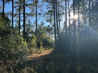 TRACT 11 Fm 230 LOT 11, Lovelady, TX 75851