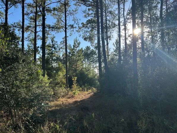 TRACT 11 Fm 230 Lot 11, Lovelady, TX 75851