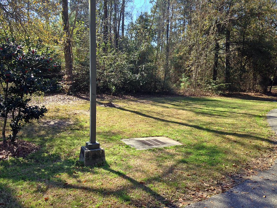 2nd image of Magnolia Banks #Lot 73