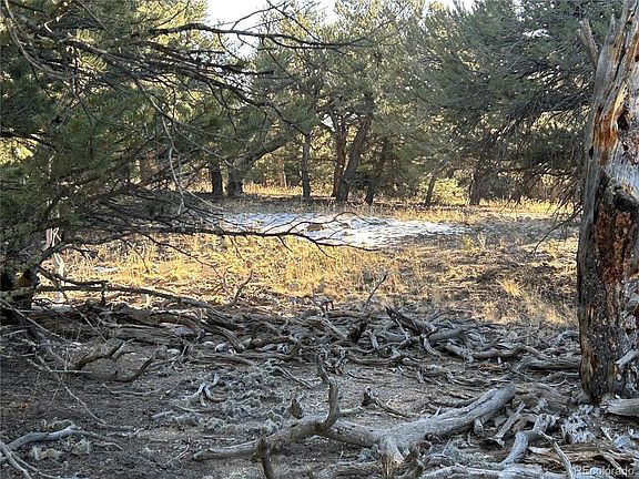 4th image of 2102 Lone Pine Way