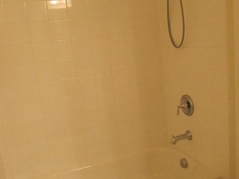 20506 Birch Crest Ln — Photo 13