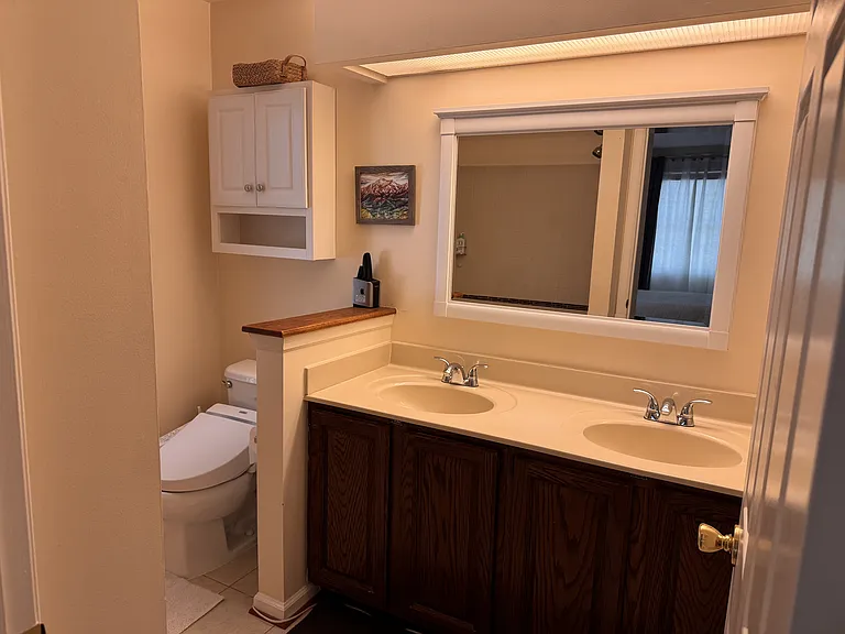 Bathroom 2 (Master)