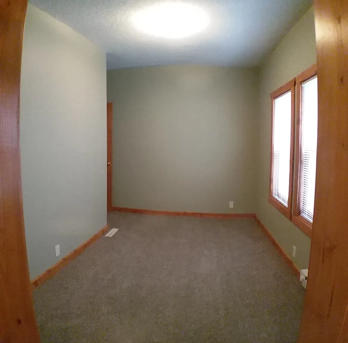 1419 Mclean St. - Lower — Photo 3