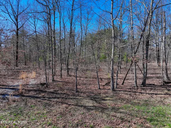 0 Gray Rock Vw #247, Pikeville, TN 37367
