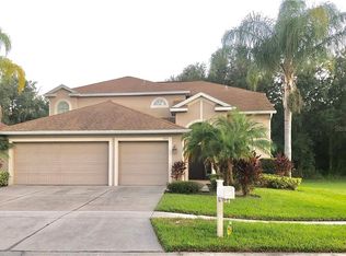1329 Emerald Hill Way, Valrico, FL 33594