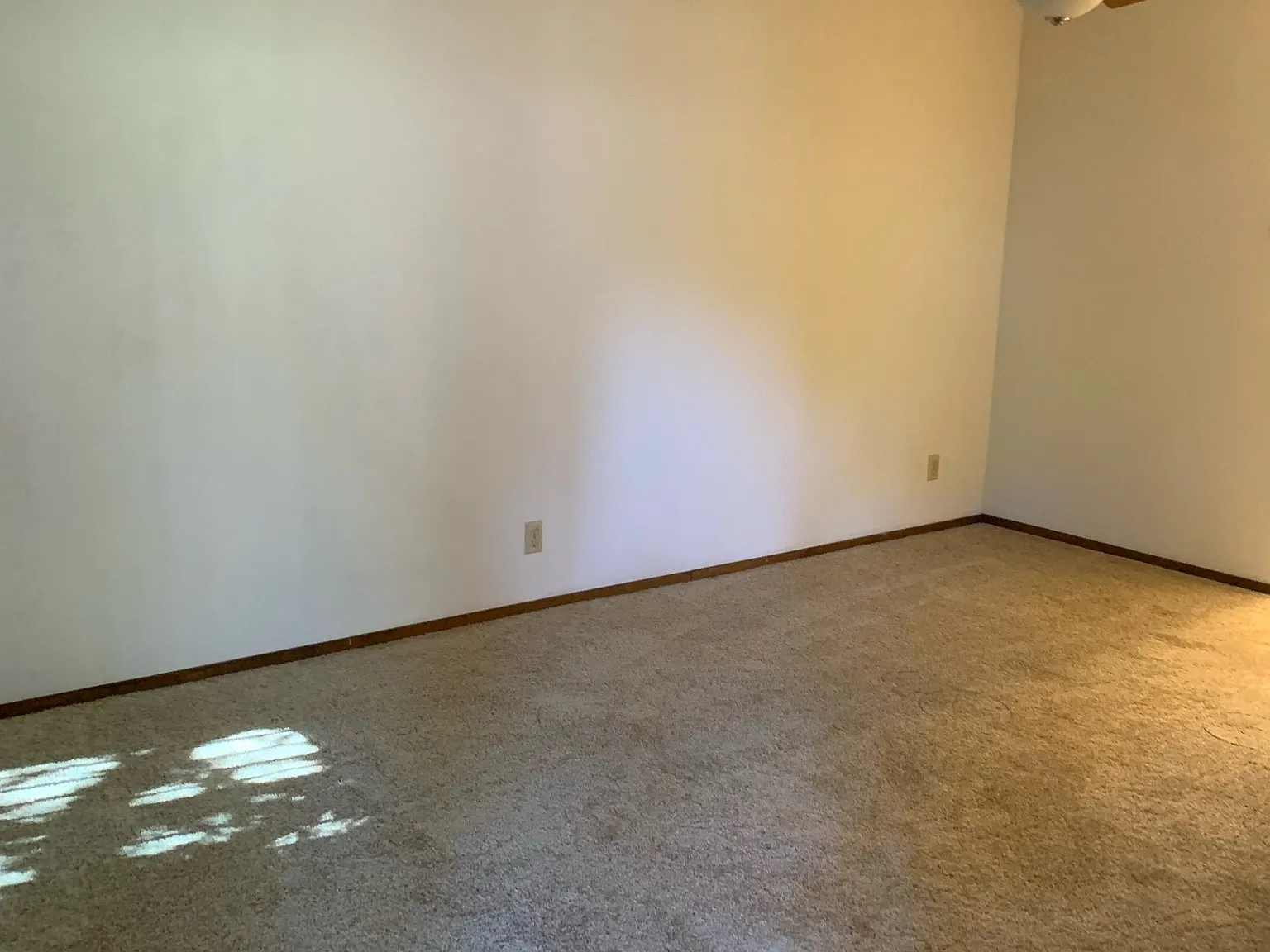 1 bed, 500 sqft, $1,250 — Photo 4