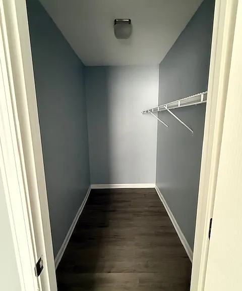 Main bedroom closet